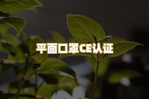 平面口罩CE认证