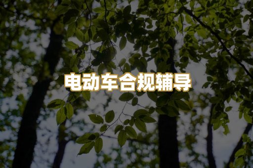 电动车合规辅导